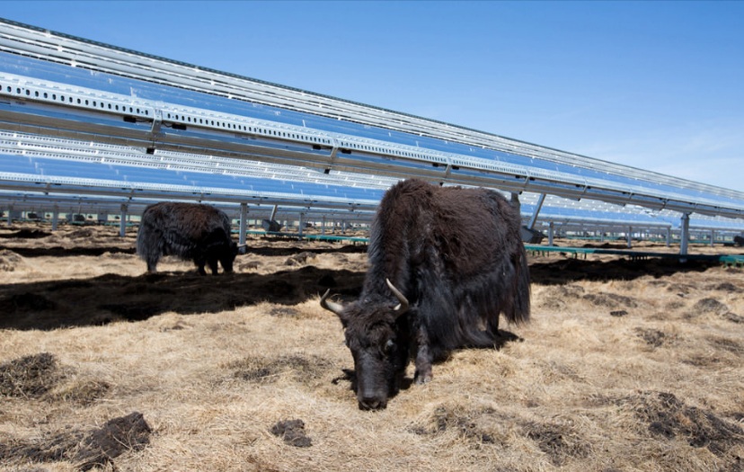 Apple está criando fundo de US$ 300 milhões para construir energia solar na China
